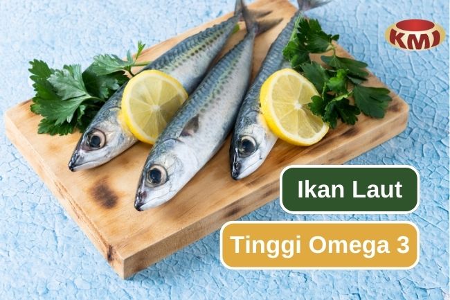 Ketahui 8 Ikan Laut Tinggi Omega-3